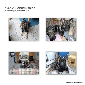 Mooie foto's van Gabriël-Baloe, hij is hier 6 maanden